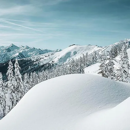 New! Tevini Alpine By We Rent Apartman Zell am See